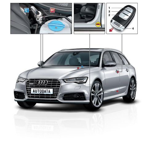 Imagem oficial Autodata com veículo e funcionalidades